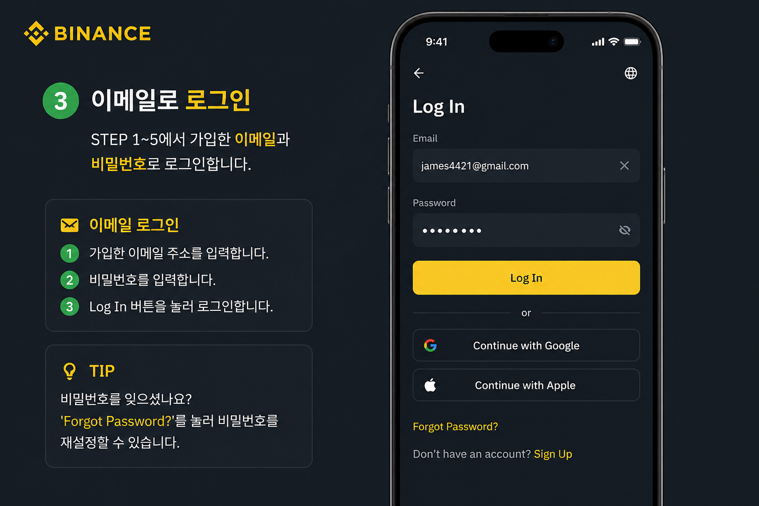 바이낸스 앱 Log In 화면 - 이메일과 비밀번호 입력란, Log In 버튼, Forgot Password와 Sign Up 링크
